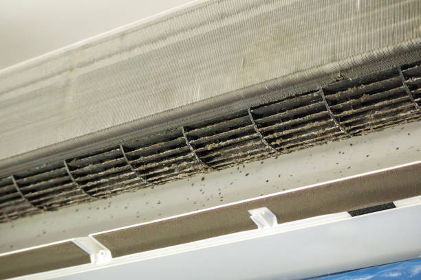 Best Home Air Vent Cleaning  in Rugby, ND